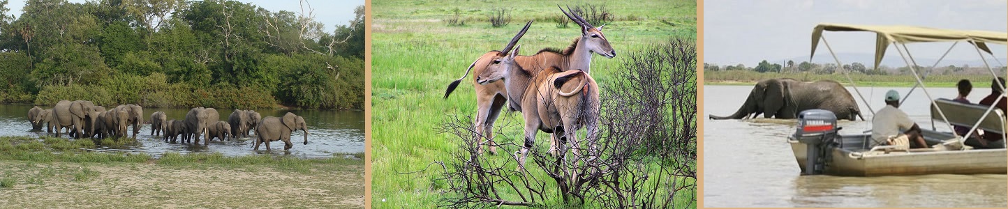 Selous Game Reserve Wildness Safari Tanzania